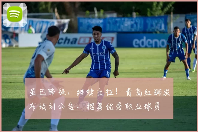 虽已降级，继续出征！青岛红狮发布试训公告，招募优秀职业球员
