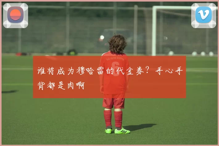 谁将成为穆哈雷的代金券？手心手背都是肉啊