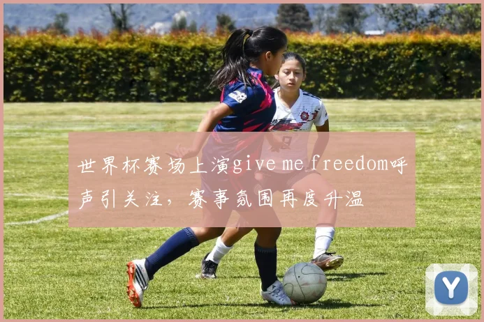 世界杯赛场上演give me freedom呼声引关注，赛事氛围再度升温