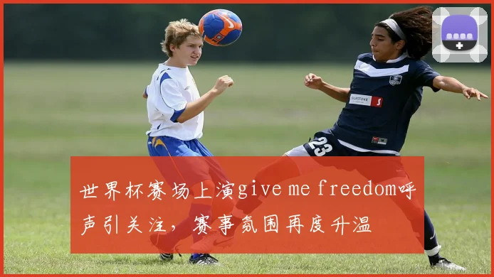 世界杯赛场上演give me freedom呼声引关注，赛事氛围再度升温