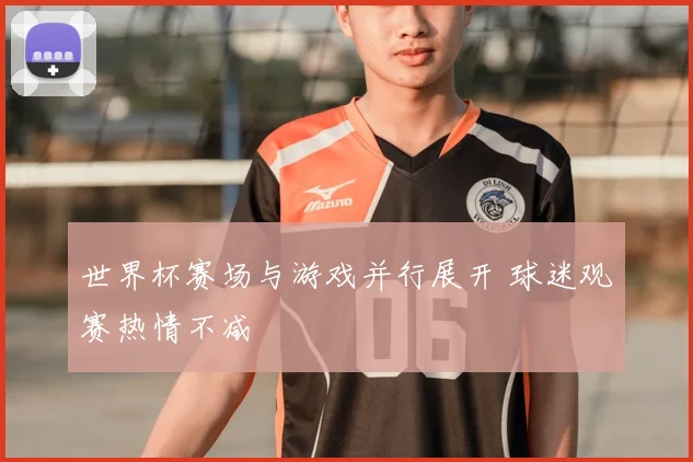 世界杯赛场与游戏并行展开 球迷观赛热情不减