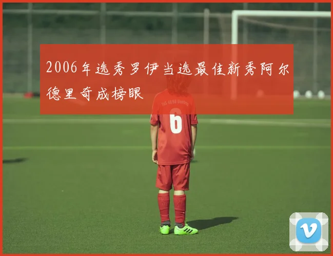 2006年选秀罗伊当选最佳新秀阿尔德里奇成榜眼
