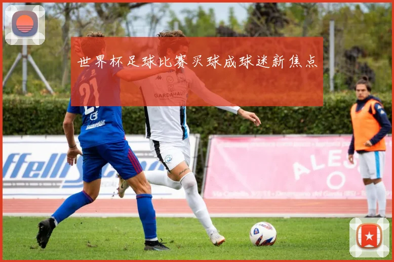 世界杯足球比赛买球成球迷新焦点