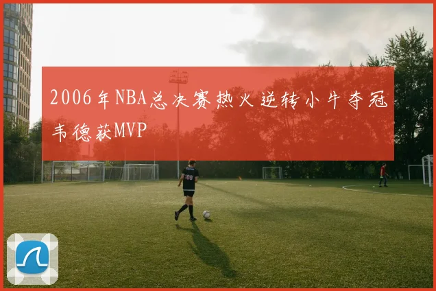 2006年NBA总决赛热火逆转小牛夺冠韦德获MVP