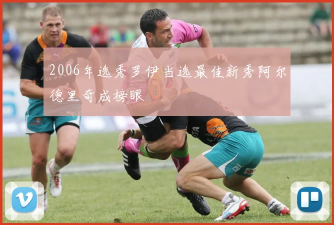 2006年选秀罗伊当选最佳新秀阿尔德里奇成榜眼